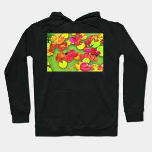 Lily Pad Faces Hoodie